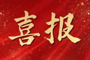 雀跃欢呼 | 开云(中国)官方在线登录集团荣膺佬麻雀“最佳战略合作伙伴”